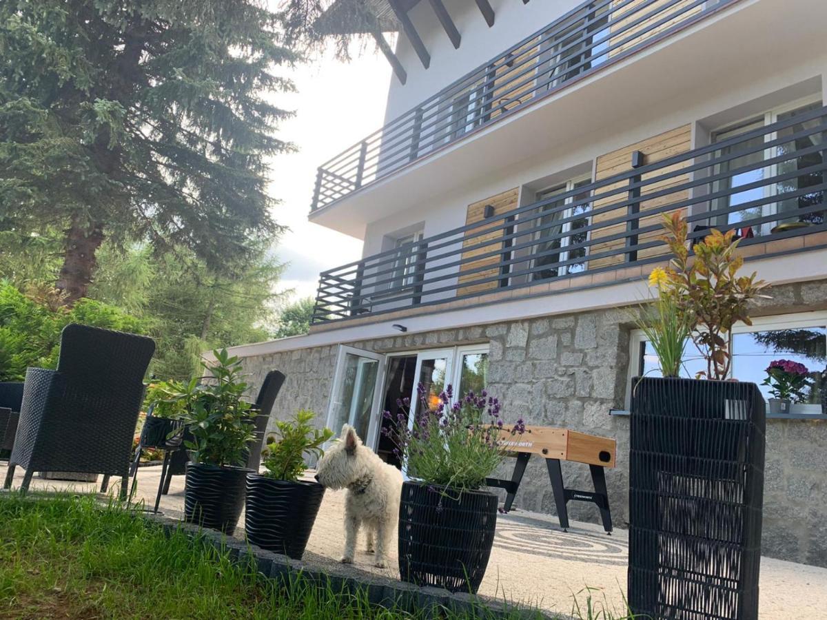 Na Stoku Daire Świeradów-Zdrój Dış mekan fotoğraf