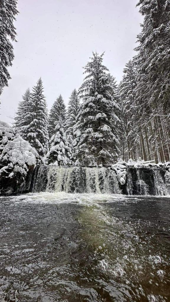 Na Stoku Daire Świeradów-Zdrój Dış mekan fotoğraf