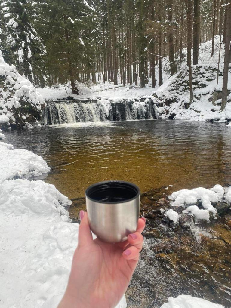 Na Stoku Daire Świeradów-Zdrój Dış mekan fotoğraf