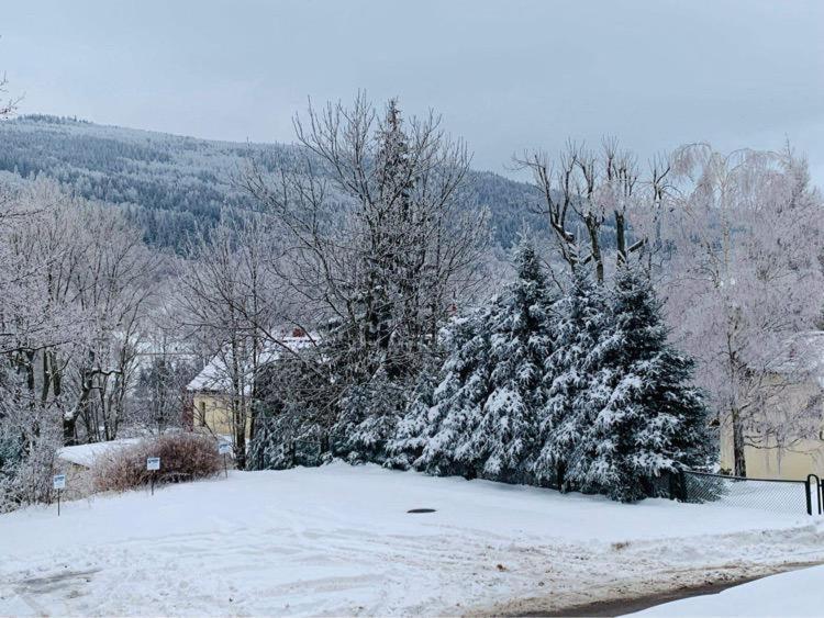 Na Stoku Daire Świeradów-Zdrój Dış mekan fotoğraf