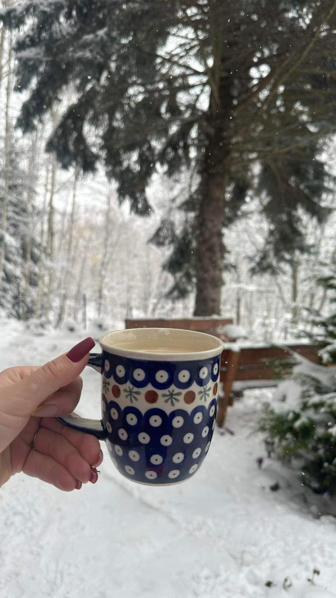 Na Stoku Daire Świeradów-Zdrój Dış mekan fotoğraf