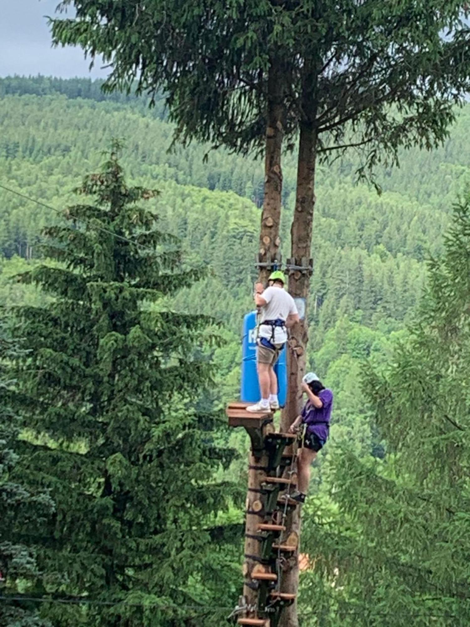 Na Stoku Daire Świeradów-Zdrój Dış mekan fotoğraf